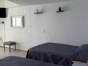 Acapulco Suite LyS Torres Gemelas