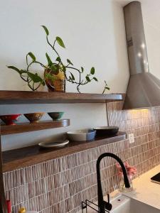 Landmark Ecopark 1BR1WC apartment Swan Lake View