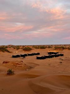 Sahara Vibe Camp