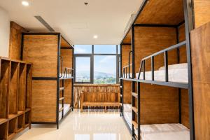 Top of the Loop Hostel & Tour