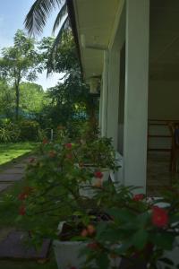 DA GREA NATURAL BEACH HOTEL