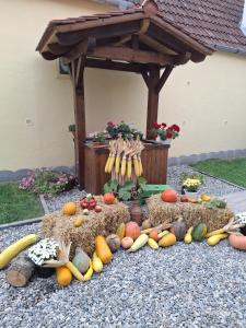 Casa Sura Sasilor