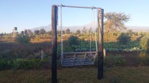 Camp Kilimanjaro