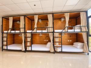 Top of the Loop Hostel & Tour