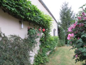 B&B / Chambres d'hotes Chez Pierre et Caroline : photos des chambres
