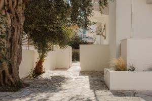Paralia studios