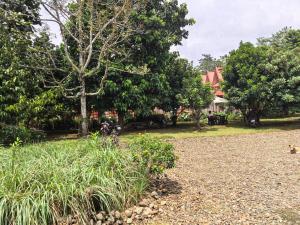 Cozy Stay Bukidnon