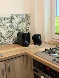 Apartament Smętka