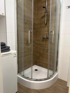 Apartament Smętka