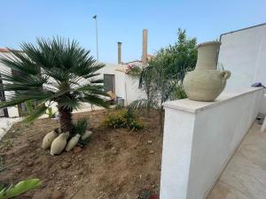 Dai Maestri Rubino con giardino