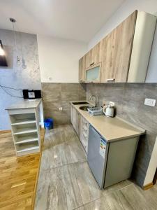 Ljubovic Studio Apartment