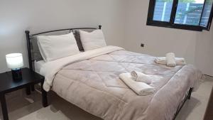 Artemis Cozy Apartment
