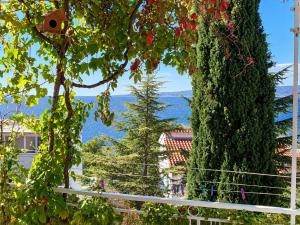 Apartments Josip II