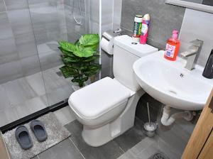 Amor Stays Makumbi Syokimau Studio near JKIA & SGR