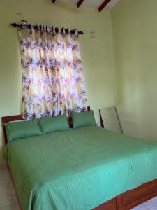 Ceylon Crown Villa