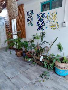 Casita de la alegria