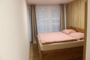 Apartmán Lesněnka