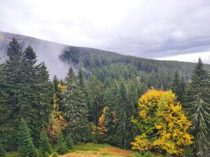 Cihlarka 303