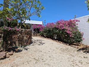 Posada Casa Bonita