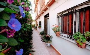 Gandialco Playa de Gandia