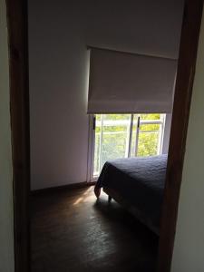 Duplex Micelio