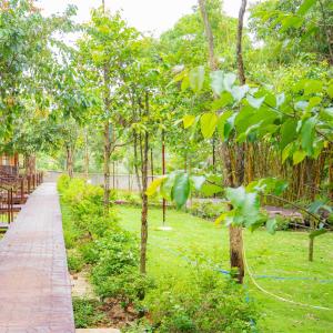 Khu Du Lịch Sinh Thái Làng Nấm Thành Đồng