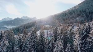 Gailerhof Boutique Hotel B&B Dolomites