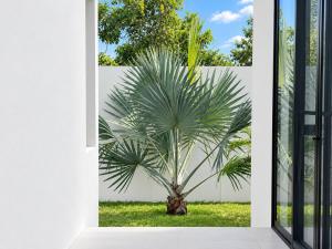 Villa Ban Tai Palm 3BR Pool Villa near Beach