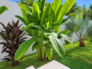 Villa Ban Tai Palm 3BR Pool Villa near Beach