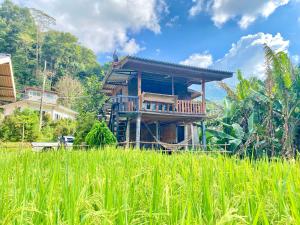 pedo Homestay2