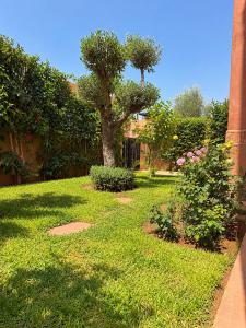 Villa Tawenza Yassmine Private Oasis & Heated Pool