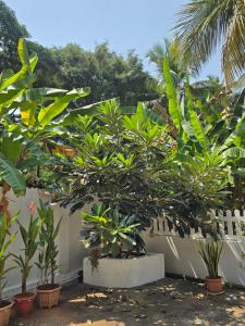 Vinssons Boutique Homestay