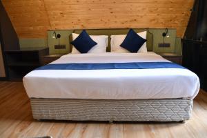 Devshanti Hotel and resort