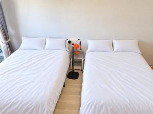 Namba 1 Stop Residence Osaka N2