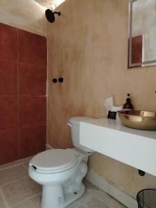 Xquidxé Hotel temazcal ancestral & wellness