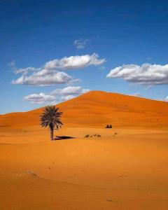 Morocco Sahara Camp