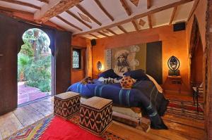 Ecolodge Bab el Oued
