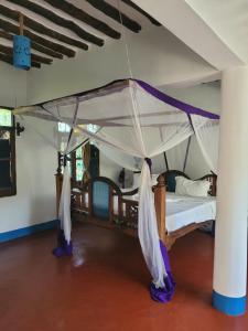 LaLuna rooms and apartments long term renting dorms