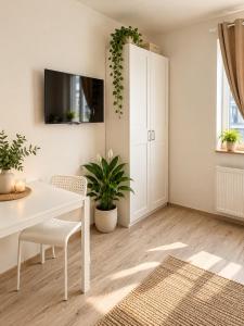 APARTIA V17 Residence Brno