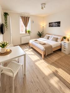 APARTIA V17 Residence Brno