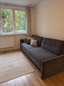 Apartament Smętka