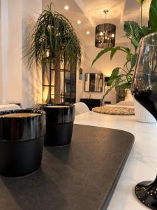 Apollonio Suites