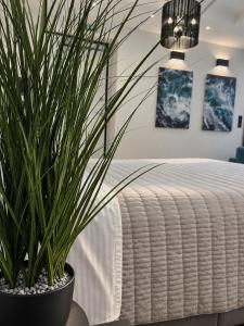 Apollonio Suites