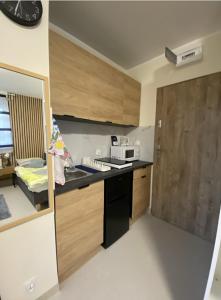 BROWARNA mini Apartamenty