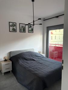 BUNNY Premium House Leszno