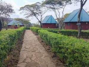 Africa Soul Lodge