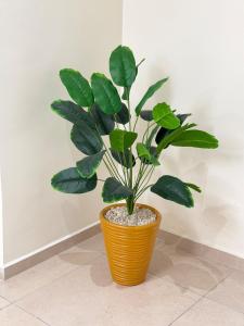 Modern 3-Bedroom Apartment in Central Tangier