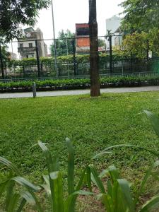 CĂN hộ NGHỈ DƯỠNG CAO CẤP TIMES CITY