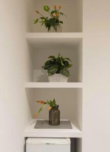 Trastevere Suites