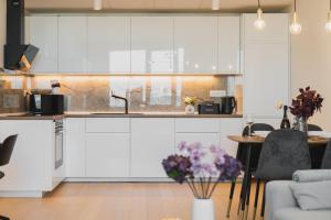 BNB SkyPark apartment with garage